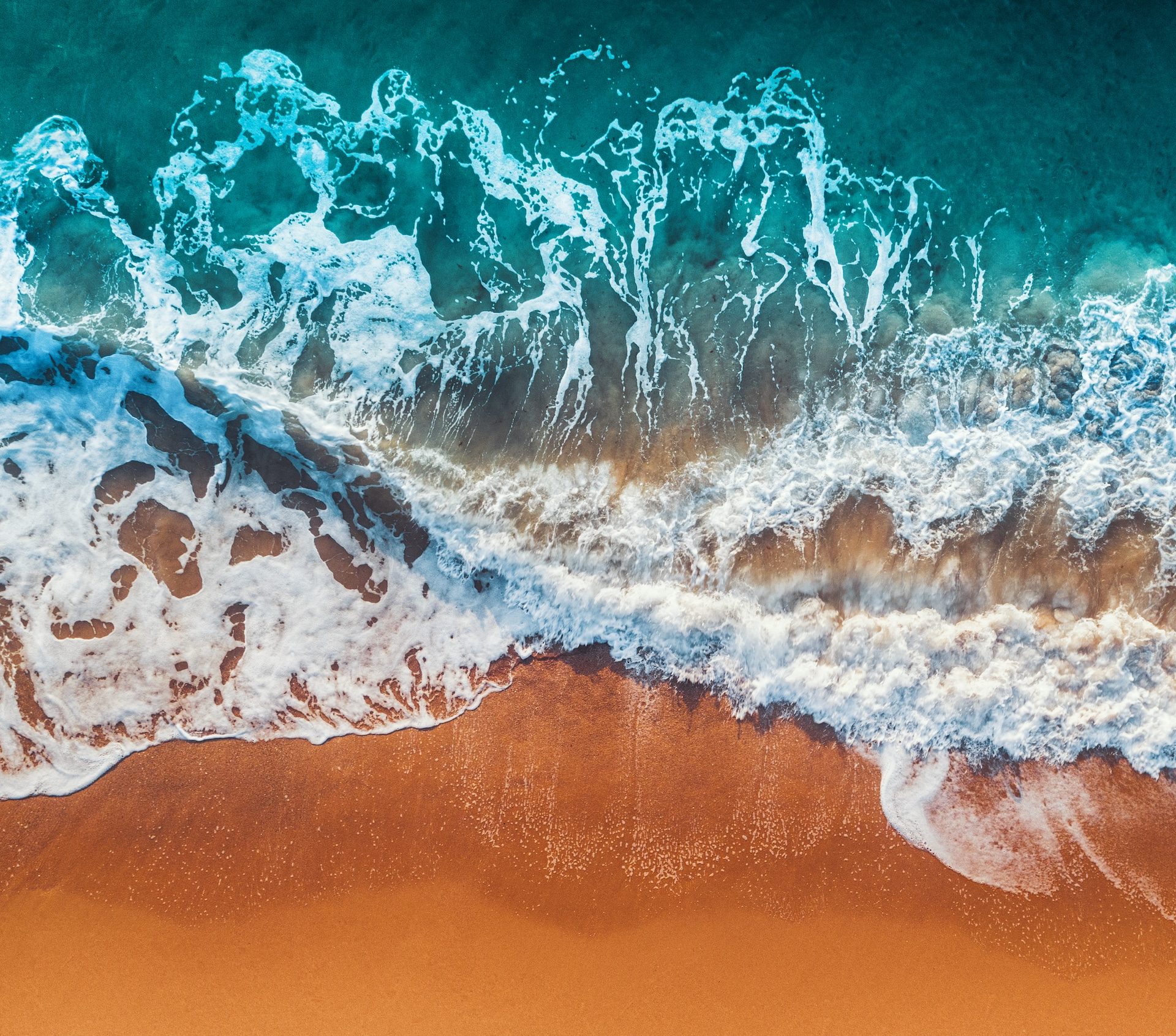 Build Your Growth Strategy